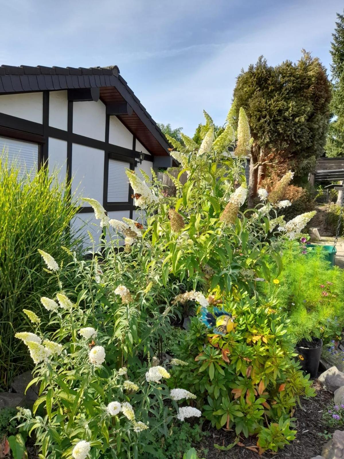 Haus Am Listersee マイナーツハーゲン エクステリア 写真