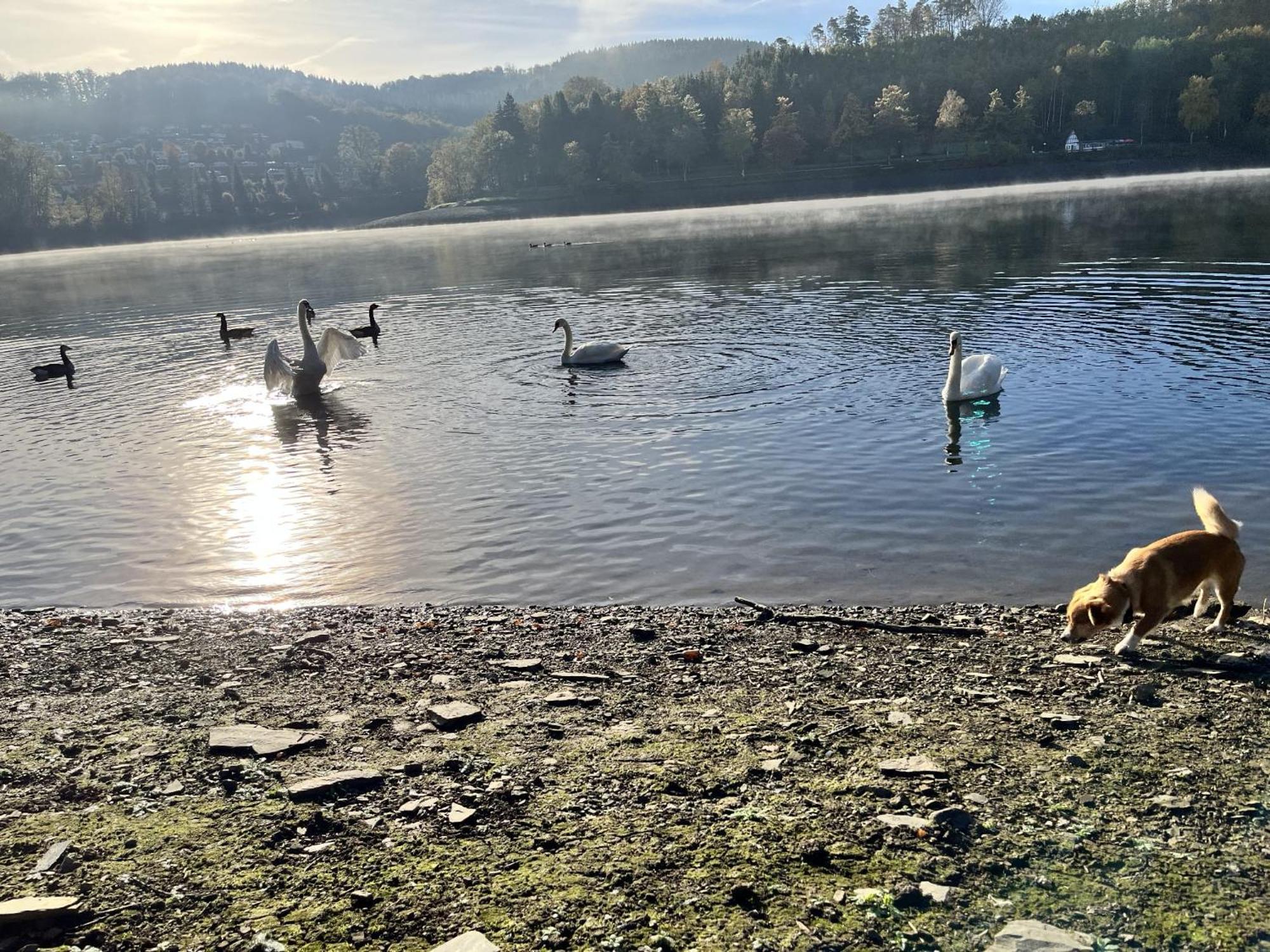 Haus Am Listersee マイナーツハーゲン エクステリア 写真